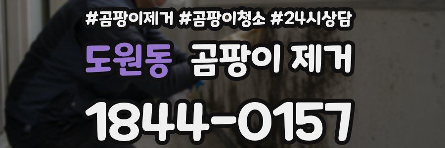 도원동 곰팡이 제거