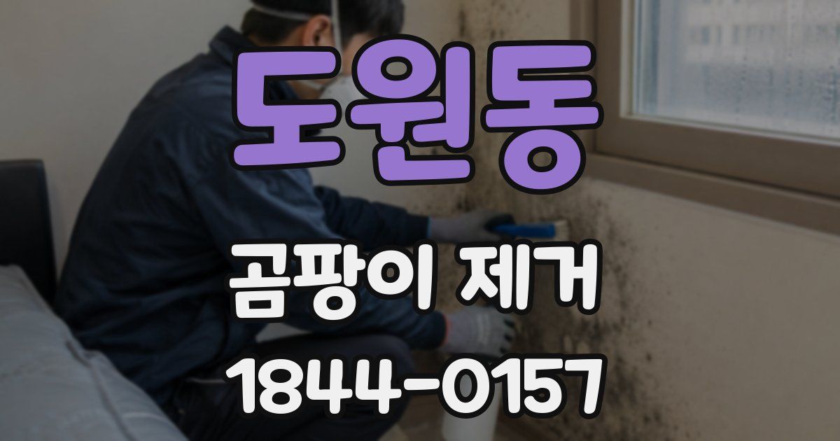 도원동 곰팡이 제거