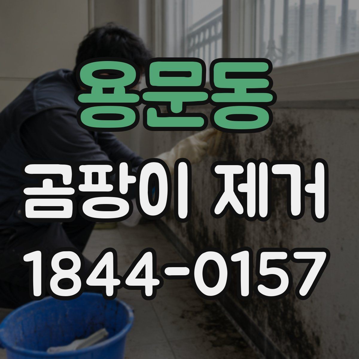 용문동 곰팡이 제거 장마철 실내 습기 관리법