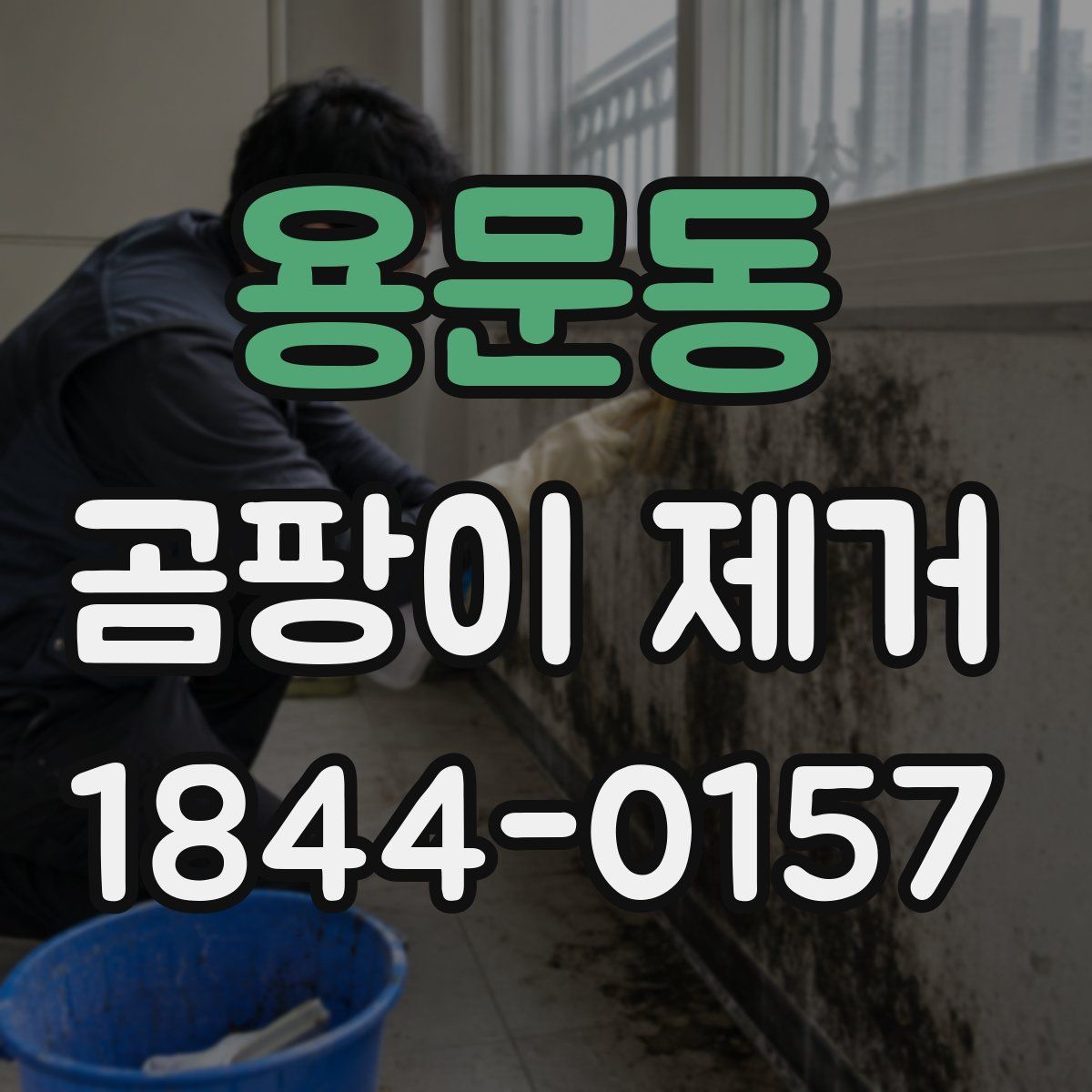 용문동 곰팡이 제거