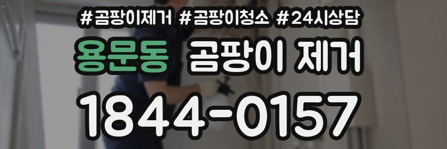 용문동 곰팡이 제거