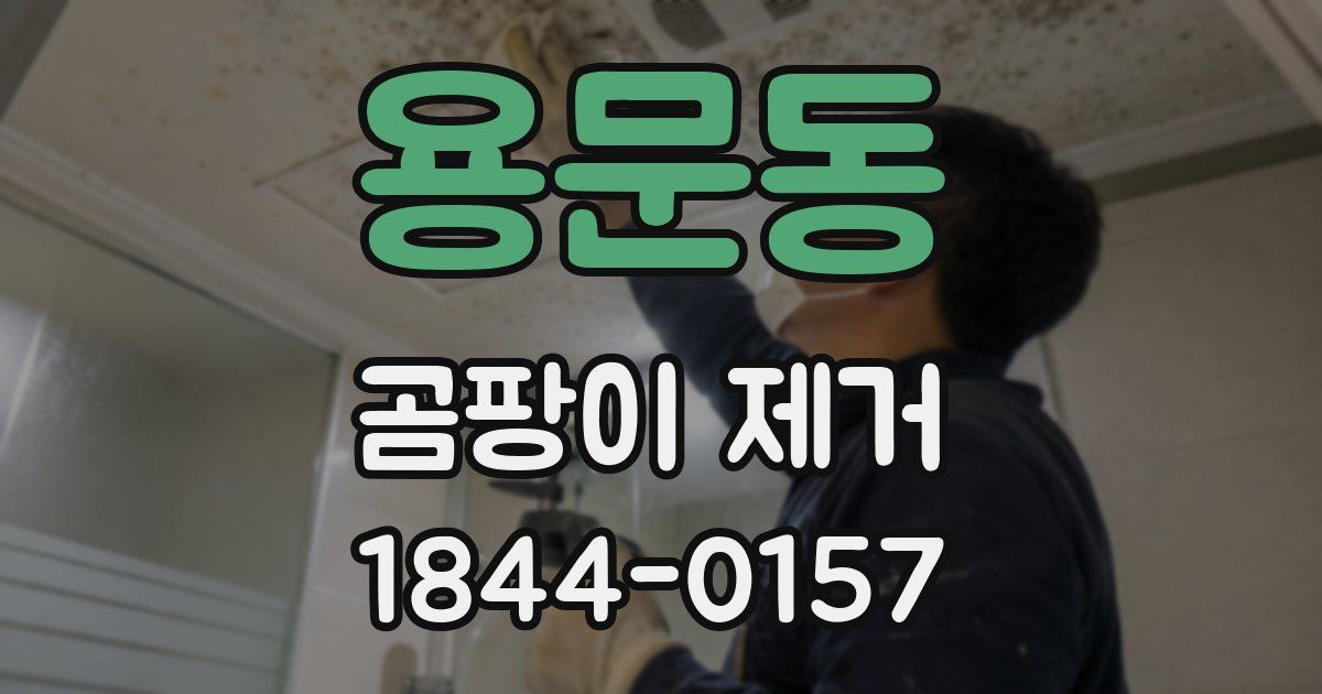 용문동 곰팡이 제거