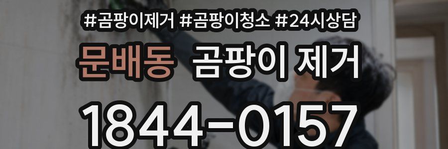 문배동 곰팡이 제거