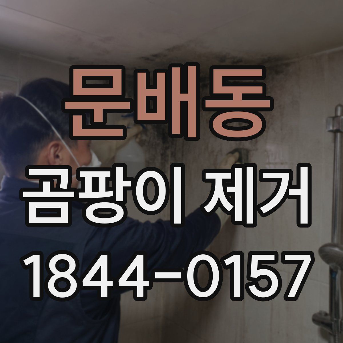 문배동 곰팡이 제거