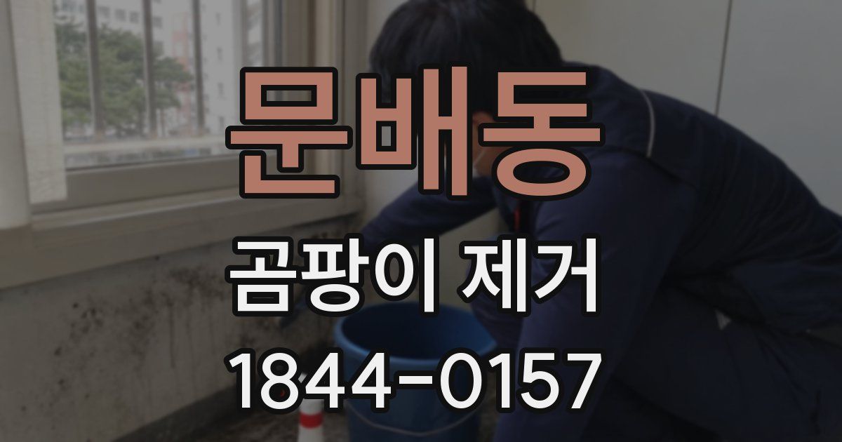 문배동 곰팡이 제거