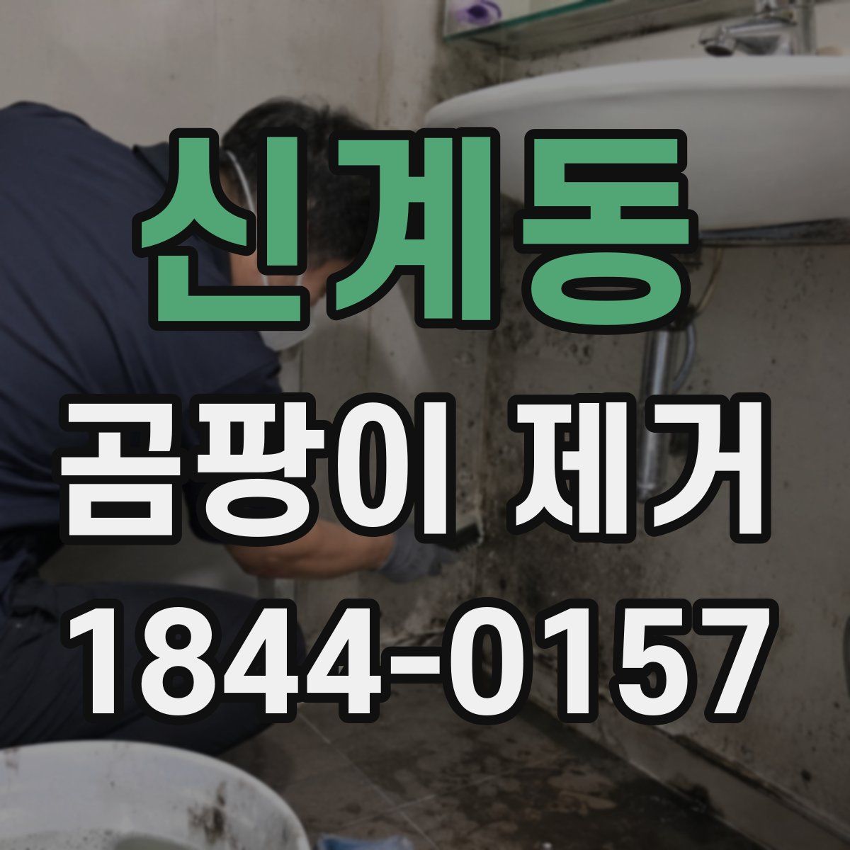 신계동 곰팡이 제거