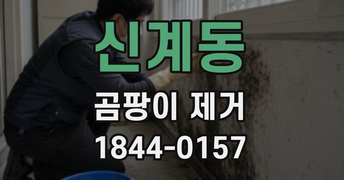 신계동 곰팡이 제거
