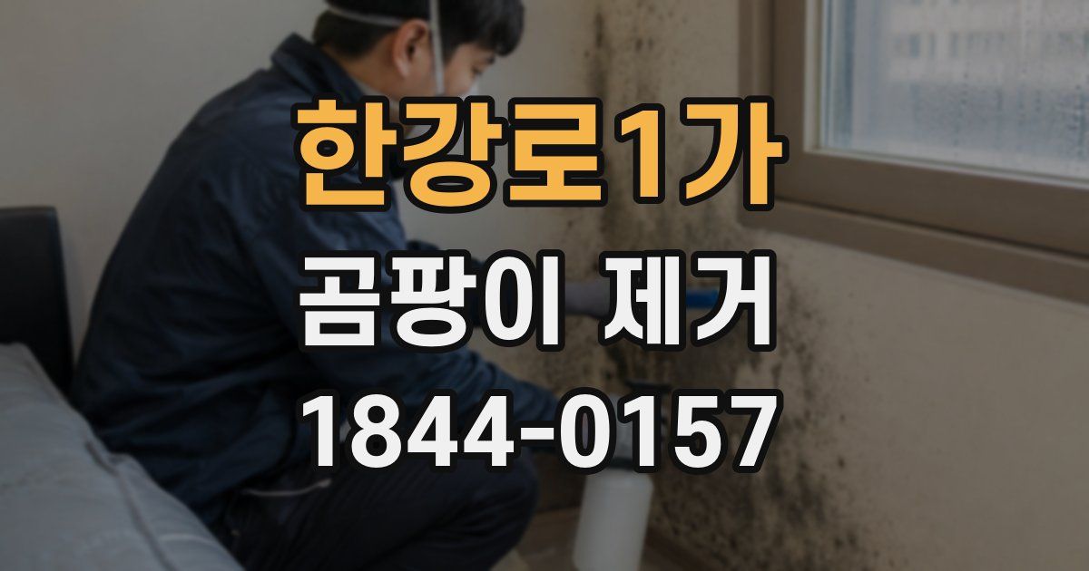 한강로1가 곰팡이 제거