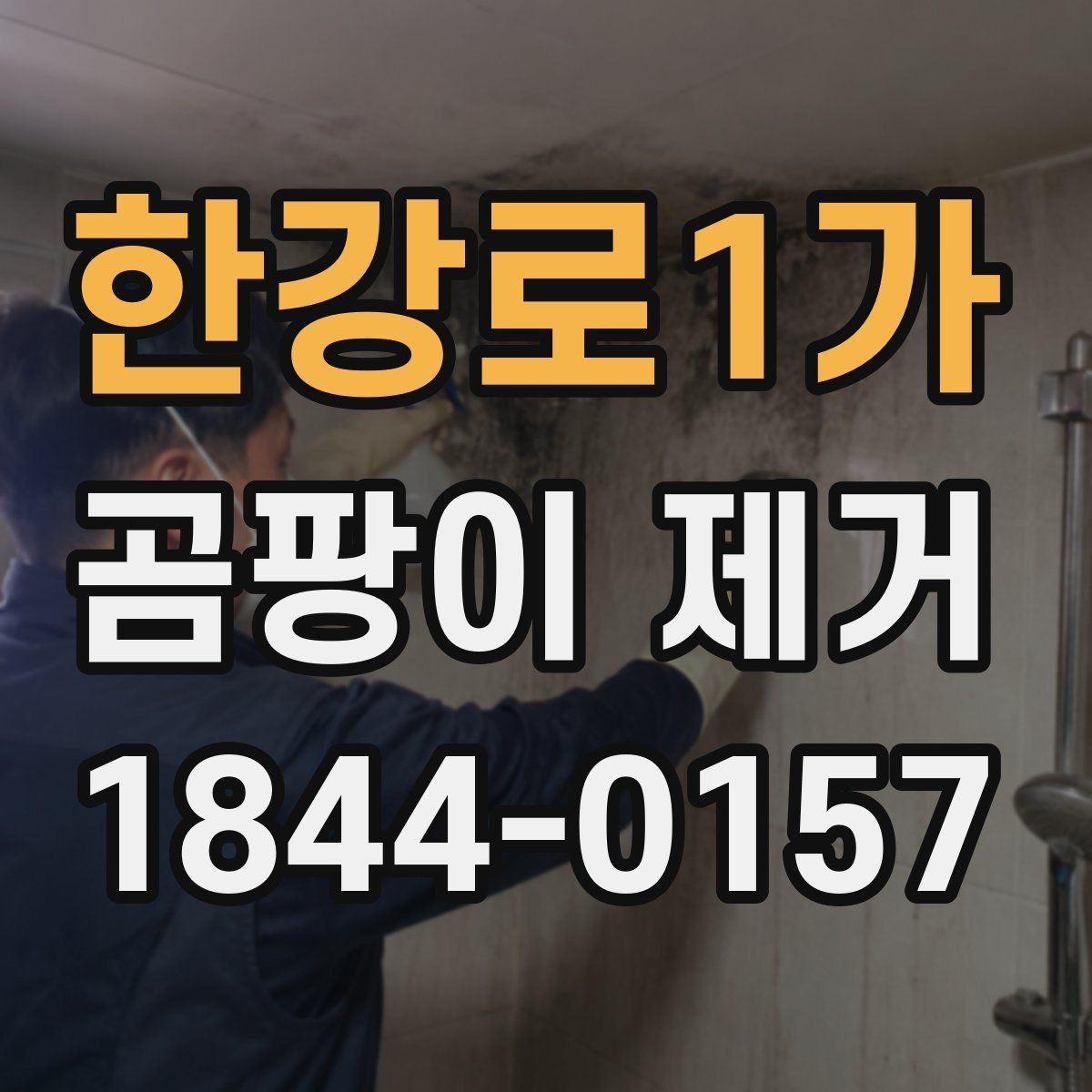 한강로1가 곰팡이 제거
