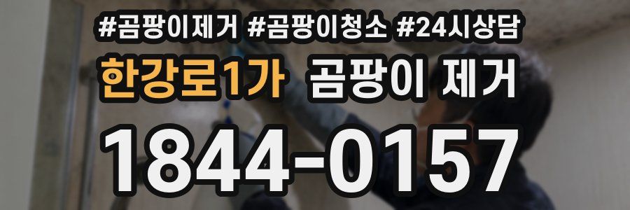 한강로1가 곰팡이 제거