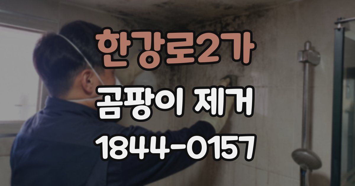 한강로2가 곰팡이 제거