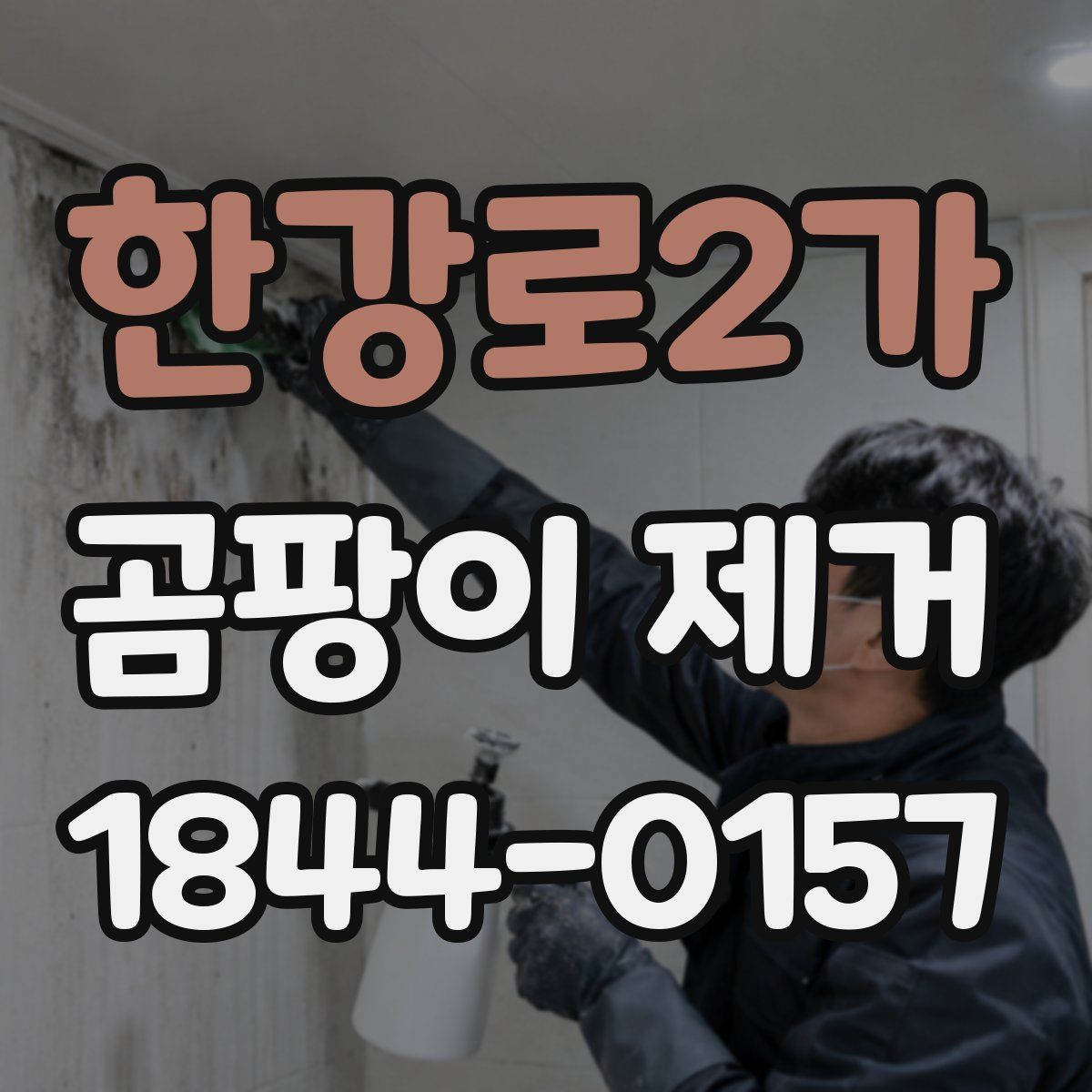 한강로2가 곰팡이 제거