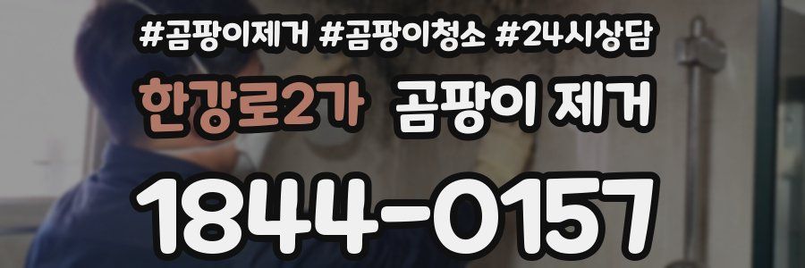 한강로2가 곰팡이 제거