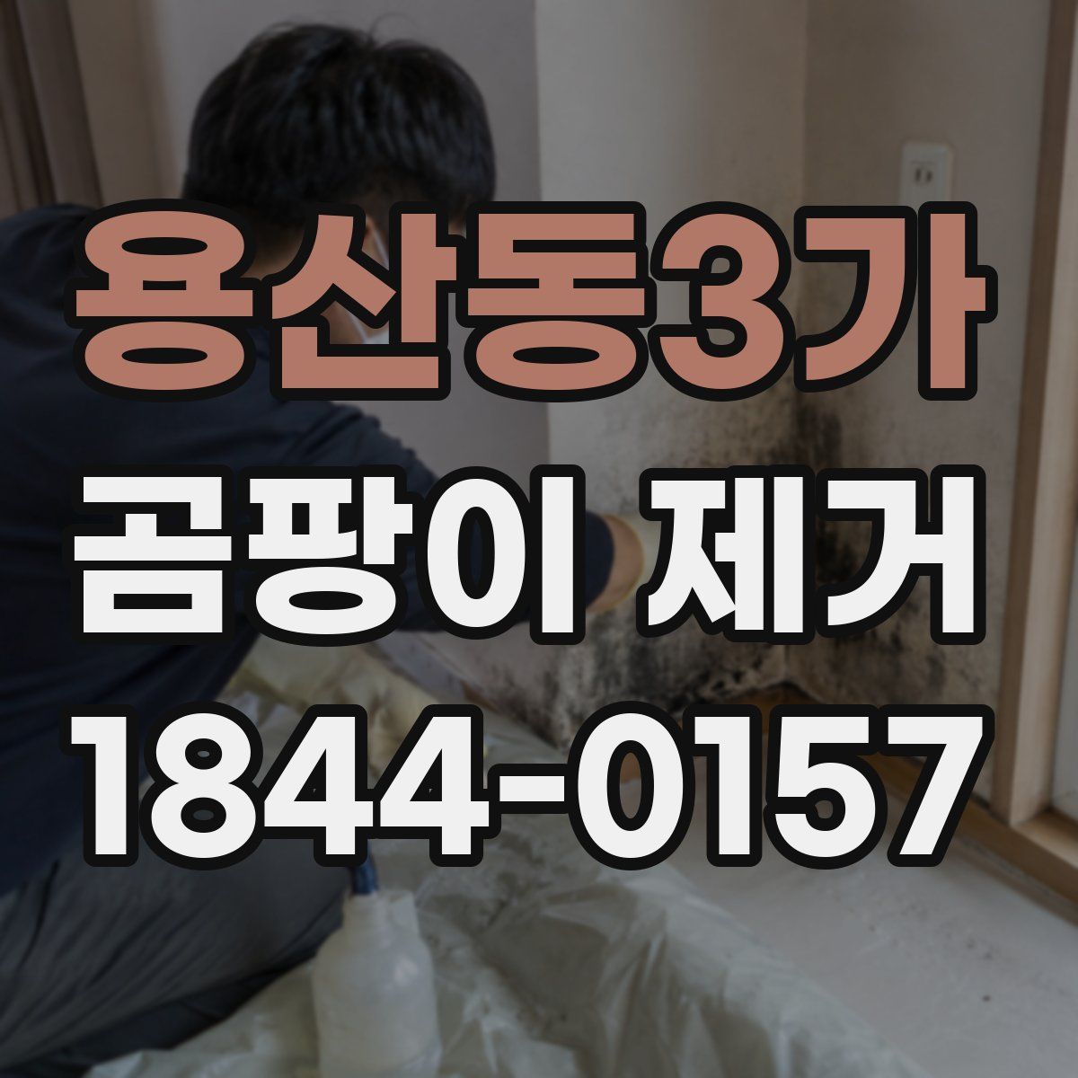 용산동3가 곰팡이 제거