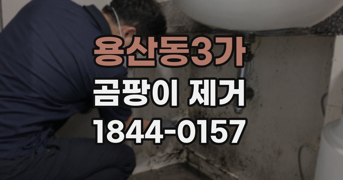 용산동3가 곰팡이 제거