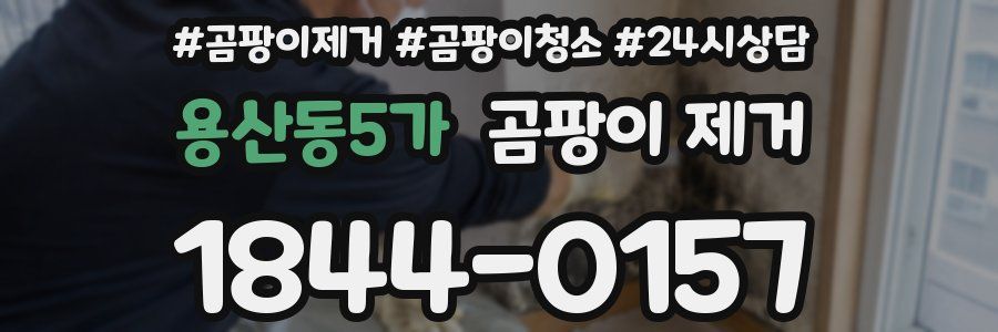 용산동5가 곰팡이 제거
