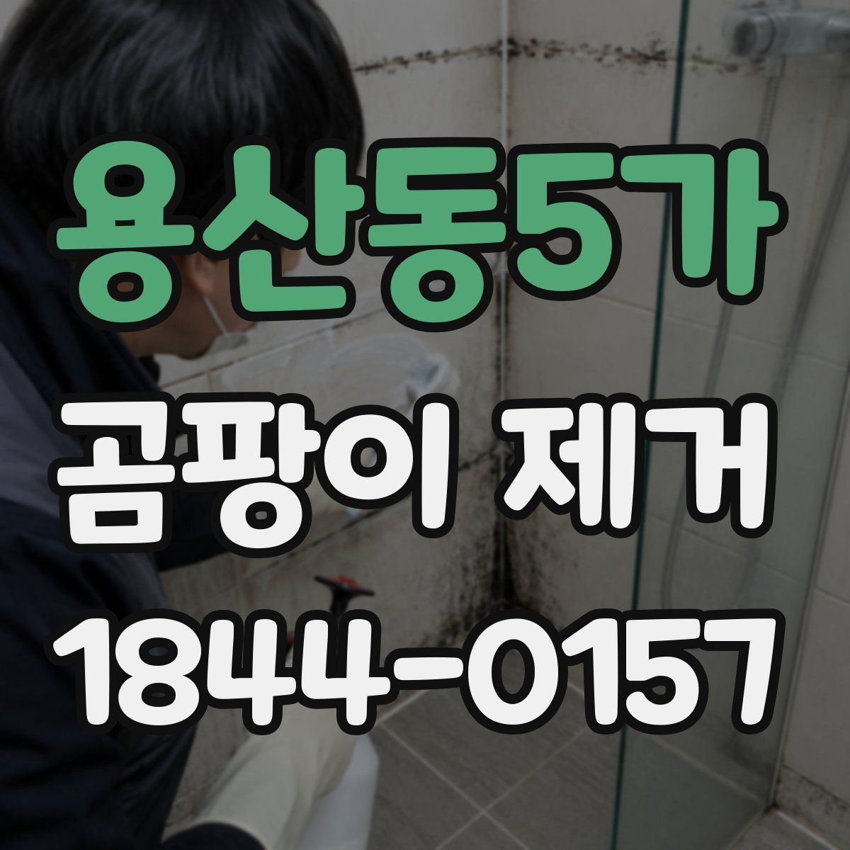 용산동5가 곰팡이 제거