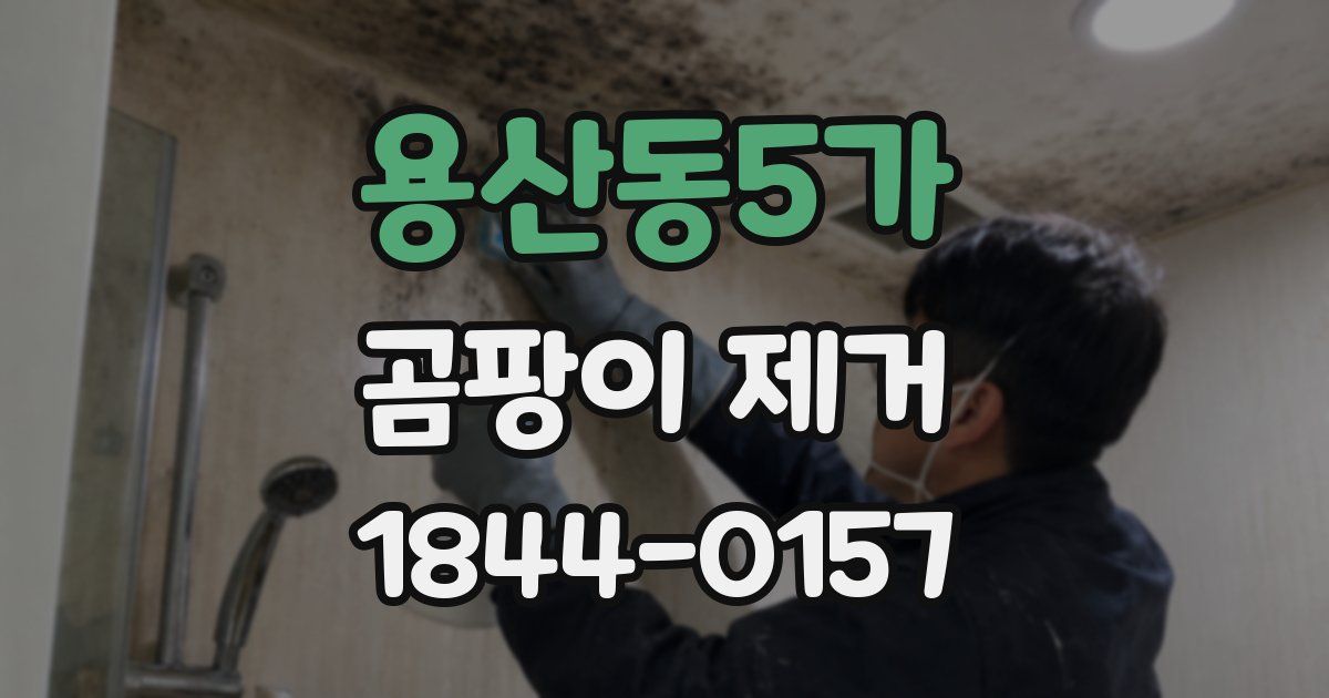 용산동5가 곰팡이 제거