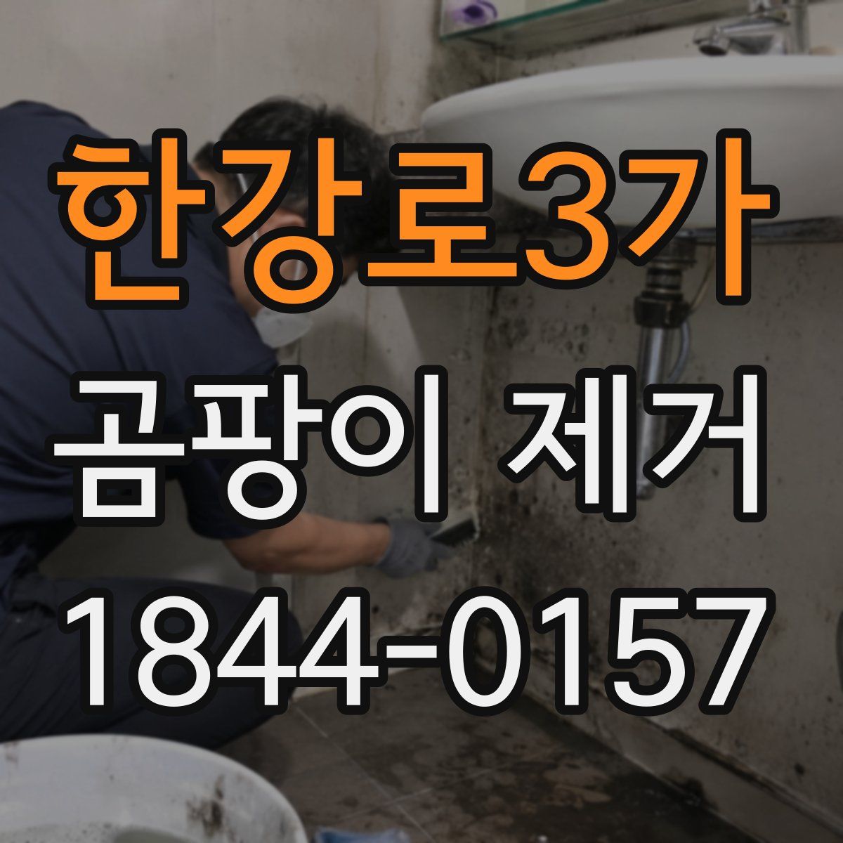 한강로3가 곰팡이 제거