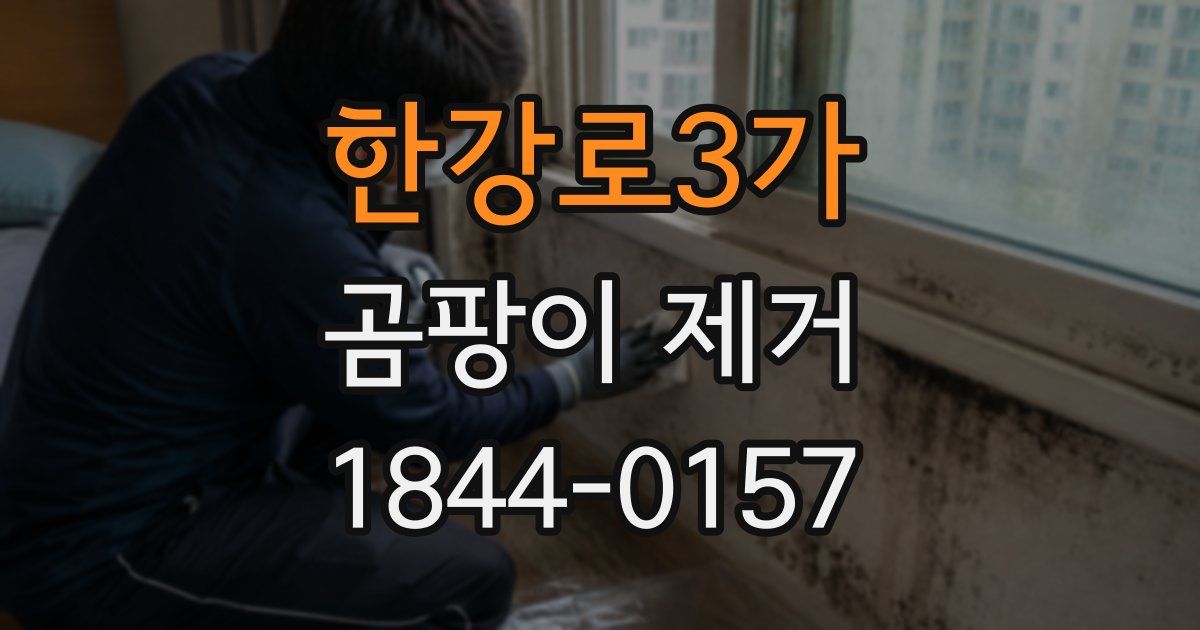 한강로3가 곰팡이 제거