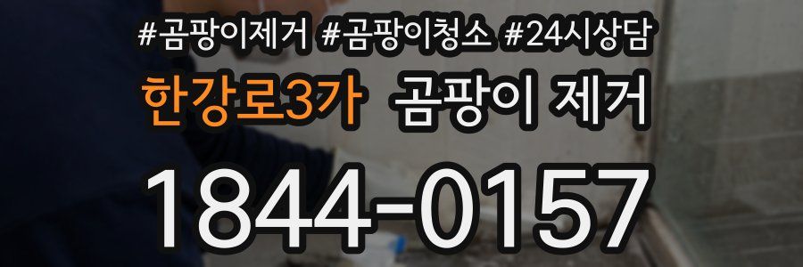 한강로3가 곰팡이 제거