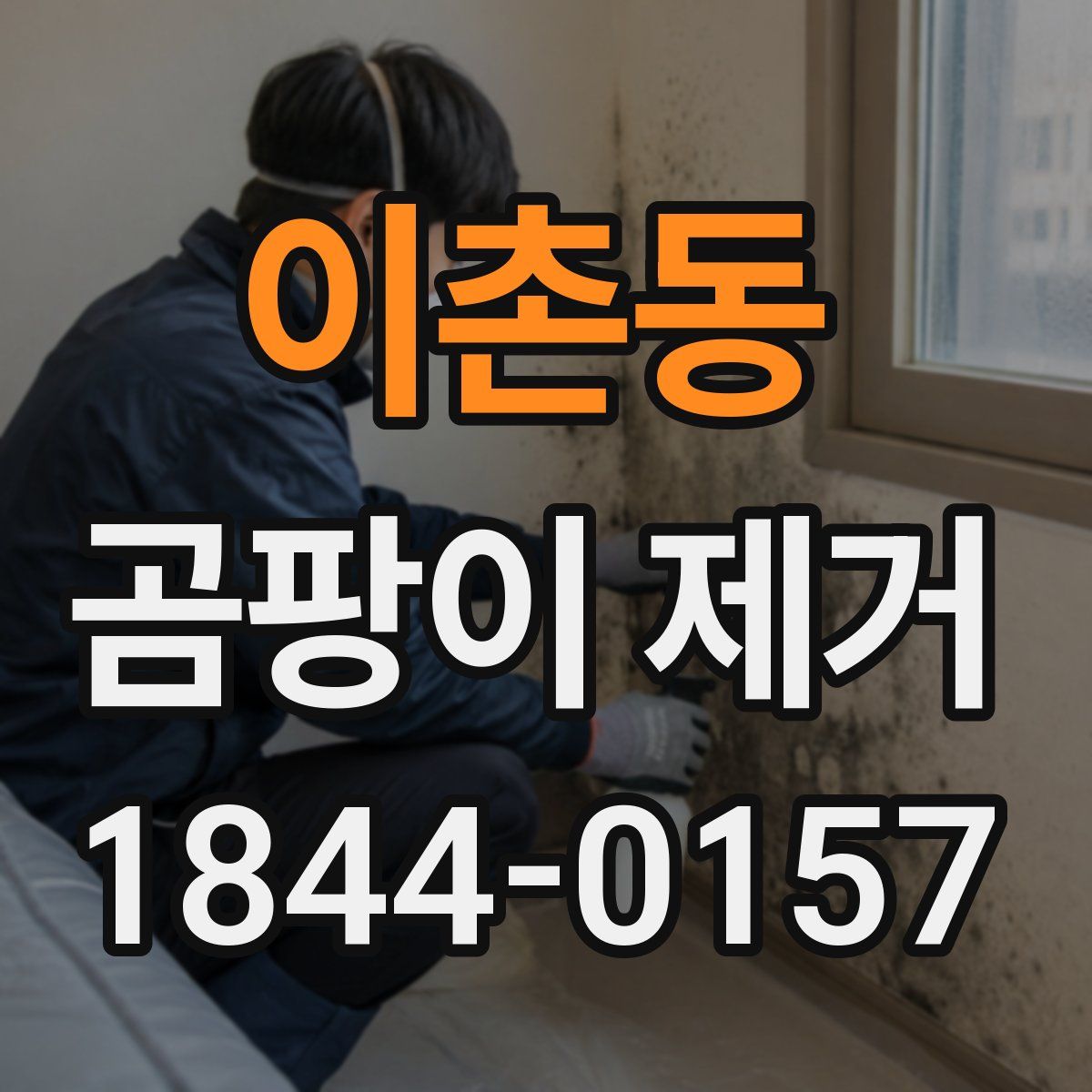 이촌동 곰팡이 제거