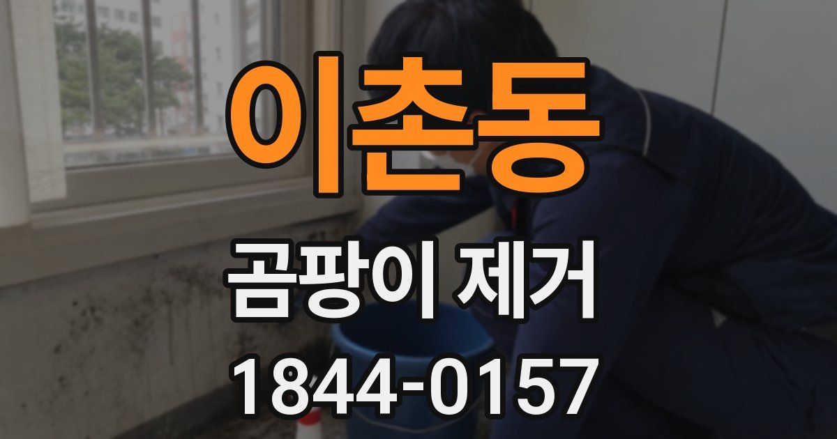 이촌동 곰팡이 제거
