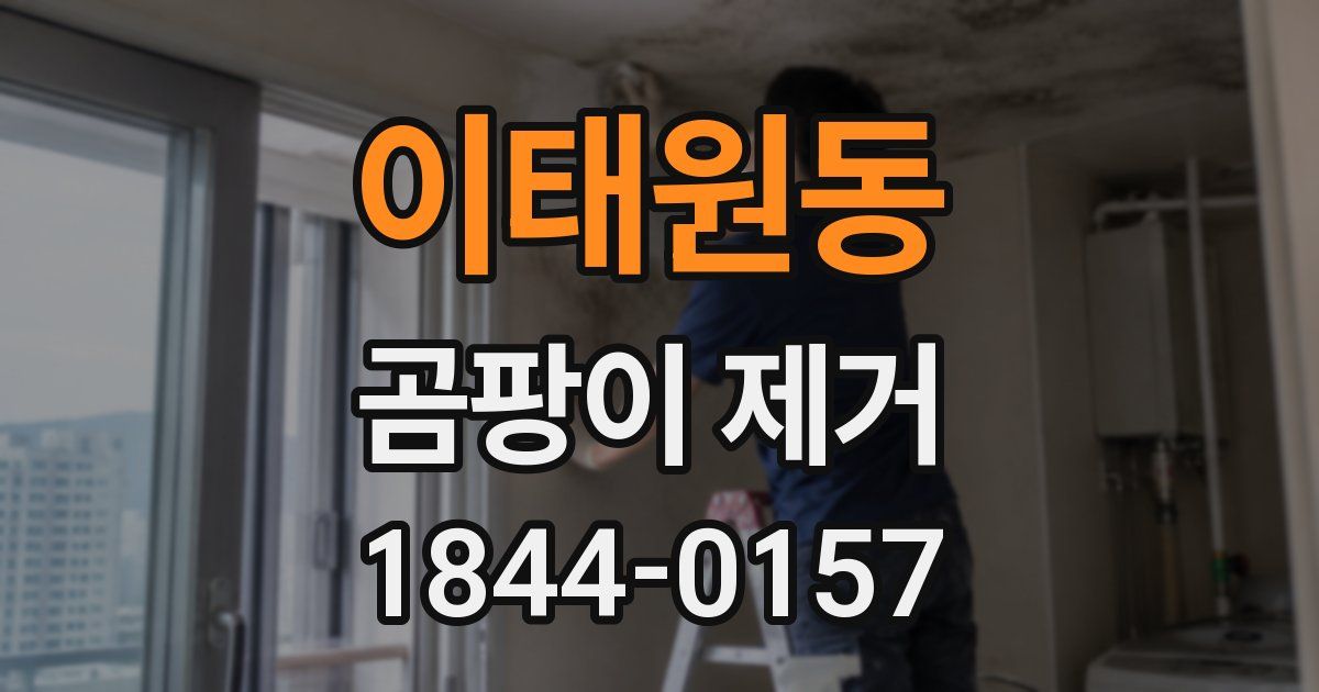 이태원동 곰팡이 제거