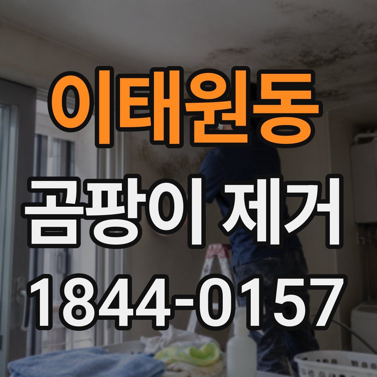 이태원동 곰팡이 제거