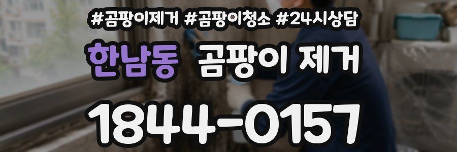한남동 곰팡이 제거