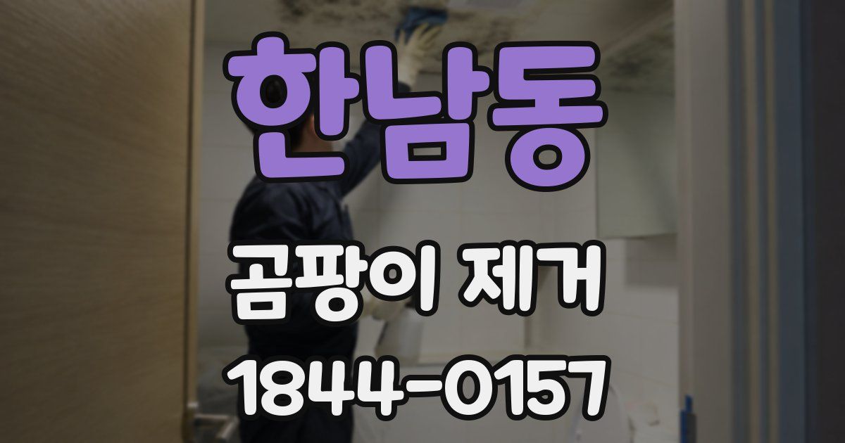 한남동 곰팡이 제거