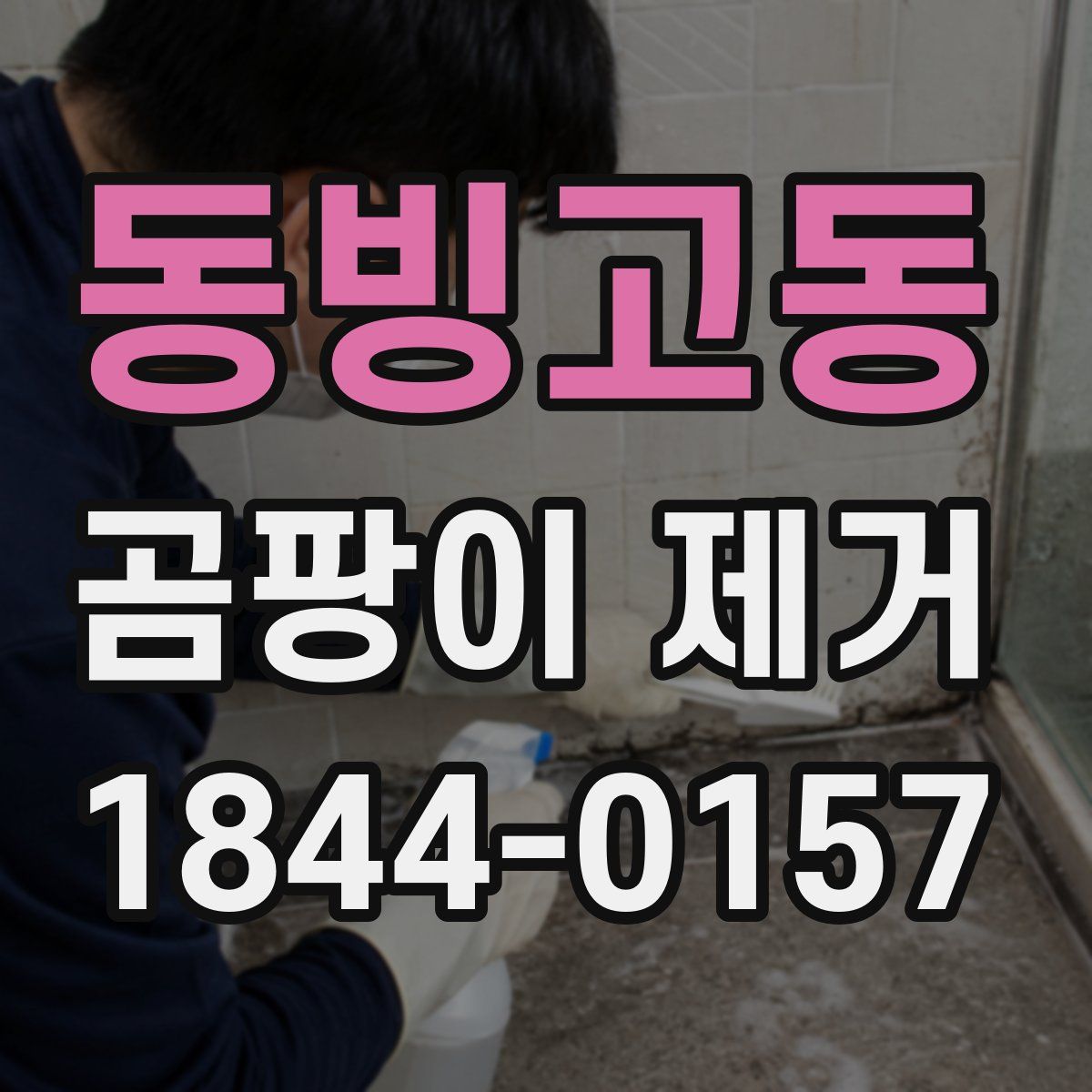 동빙고동 곰팡이 제거