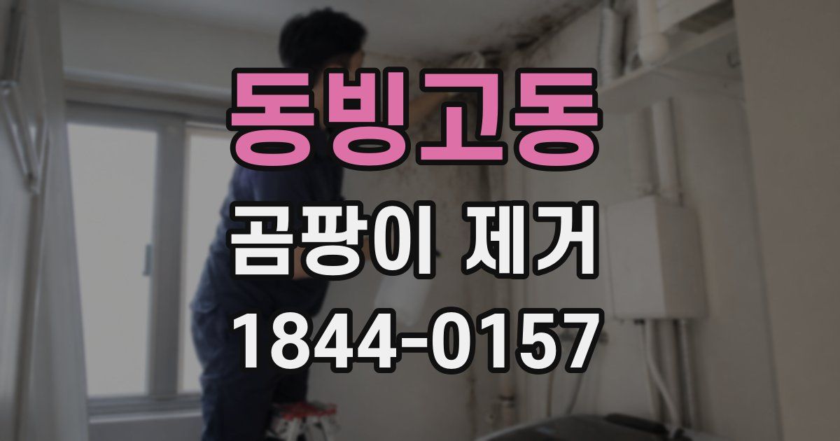 동빙고동 곰팡이 제거