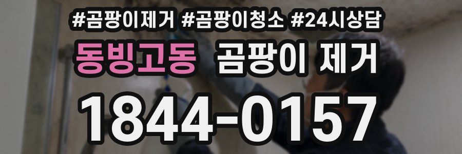 동빙고동 곰팡이 제거