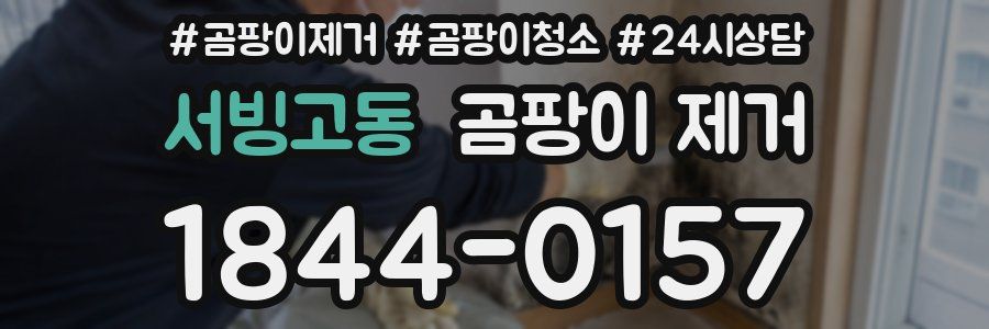서빙고동 곰팡이 제거