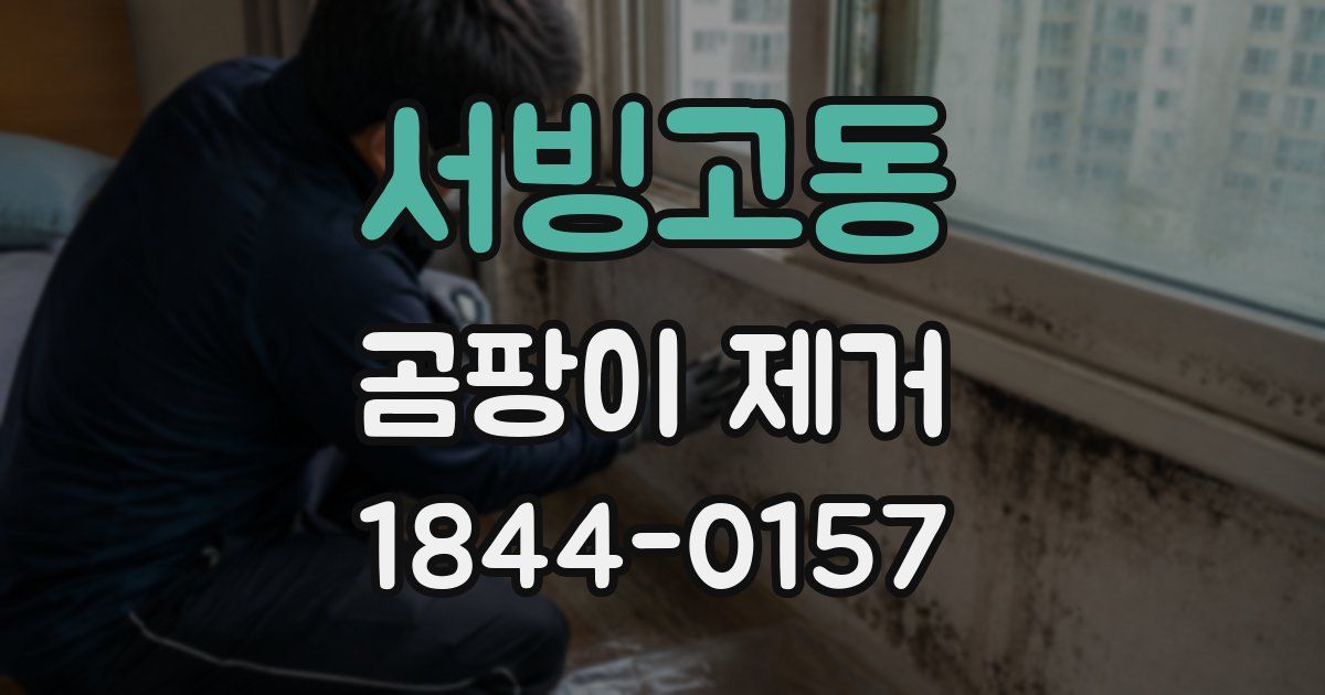 서빙고동 곰팡이 제거