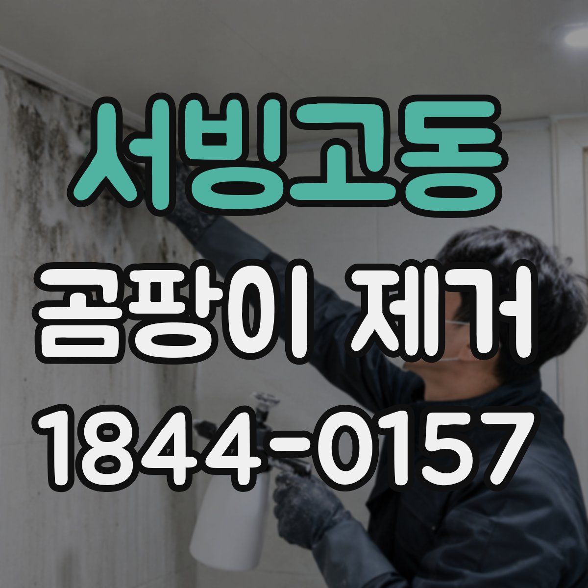 서빙고동 곰팡이 제거