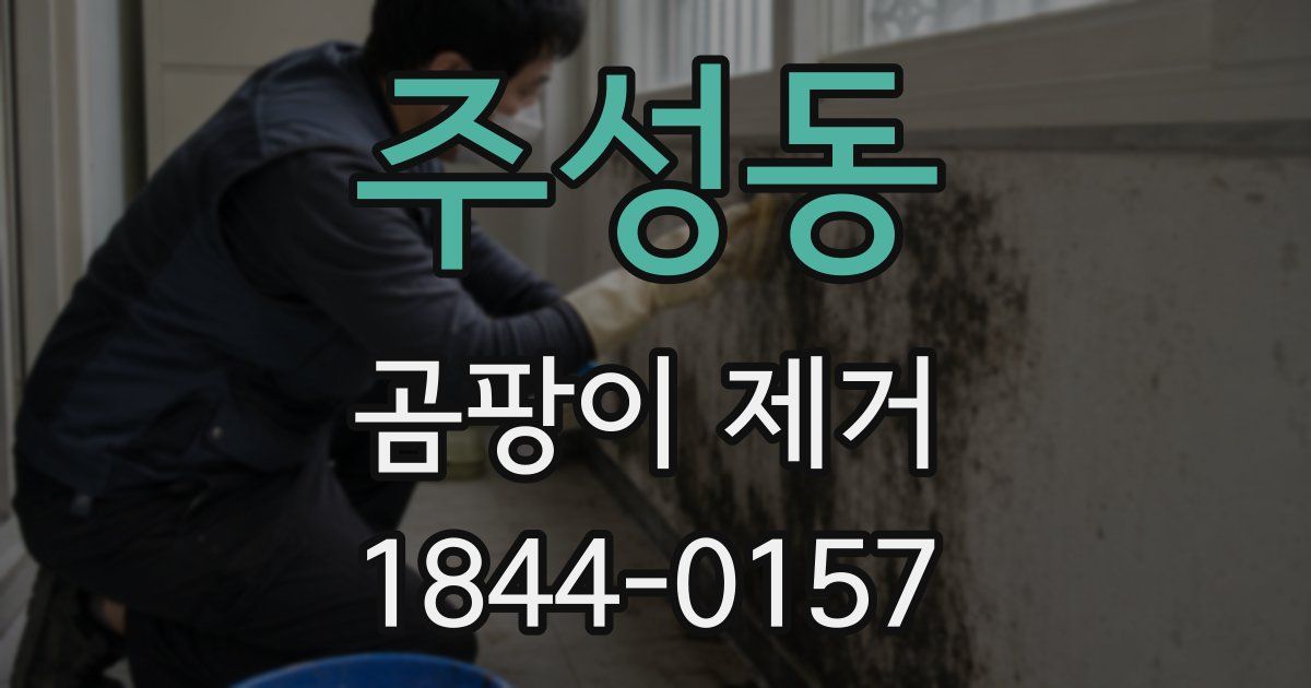 주성동 곰팡이 제거