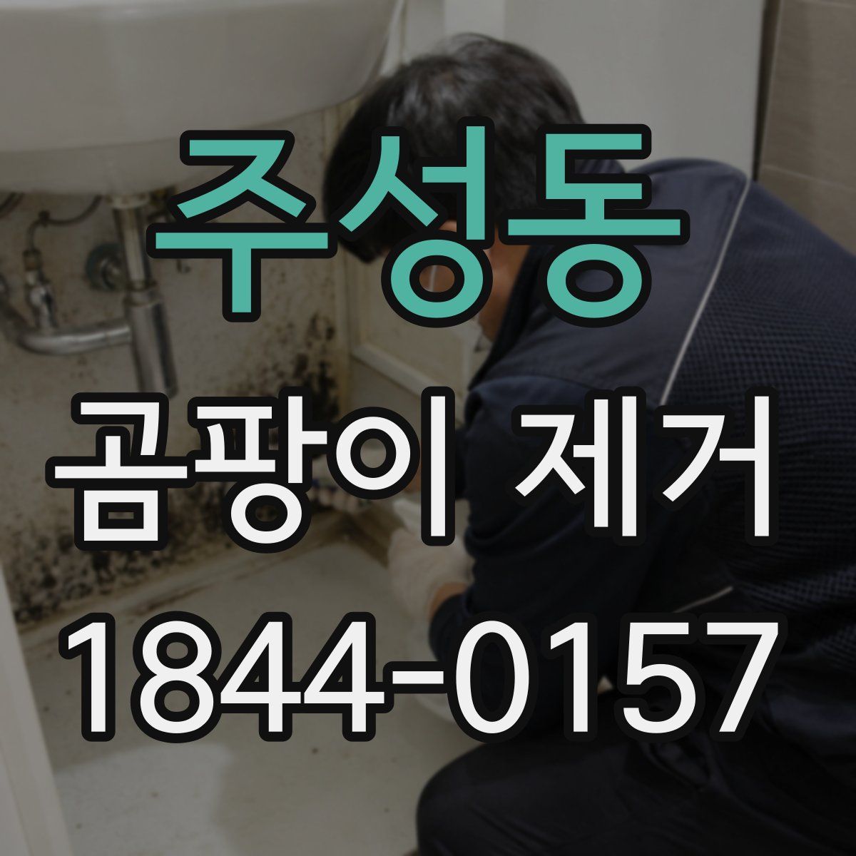 주성동 곰팡이 제거