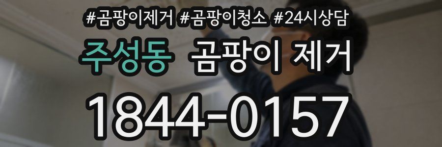 주성동 곰팡이 제거