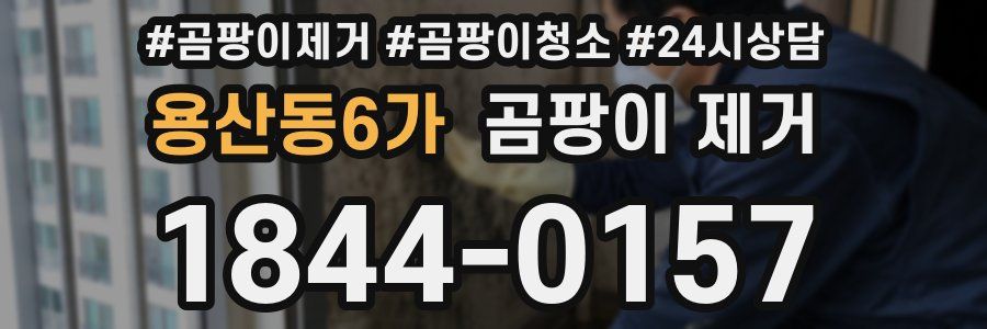 용산동6가 곰팡이 제거