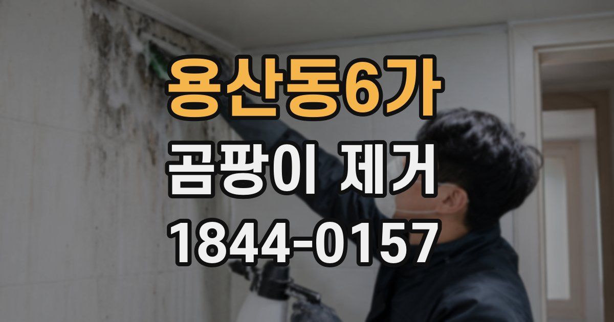 용산동6가 곰팡이 제거