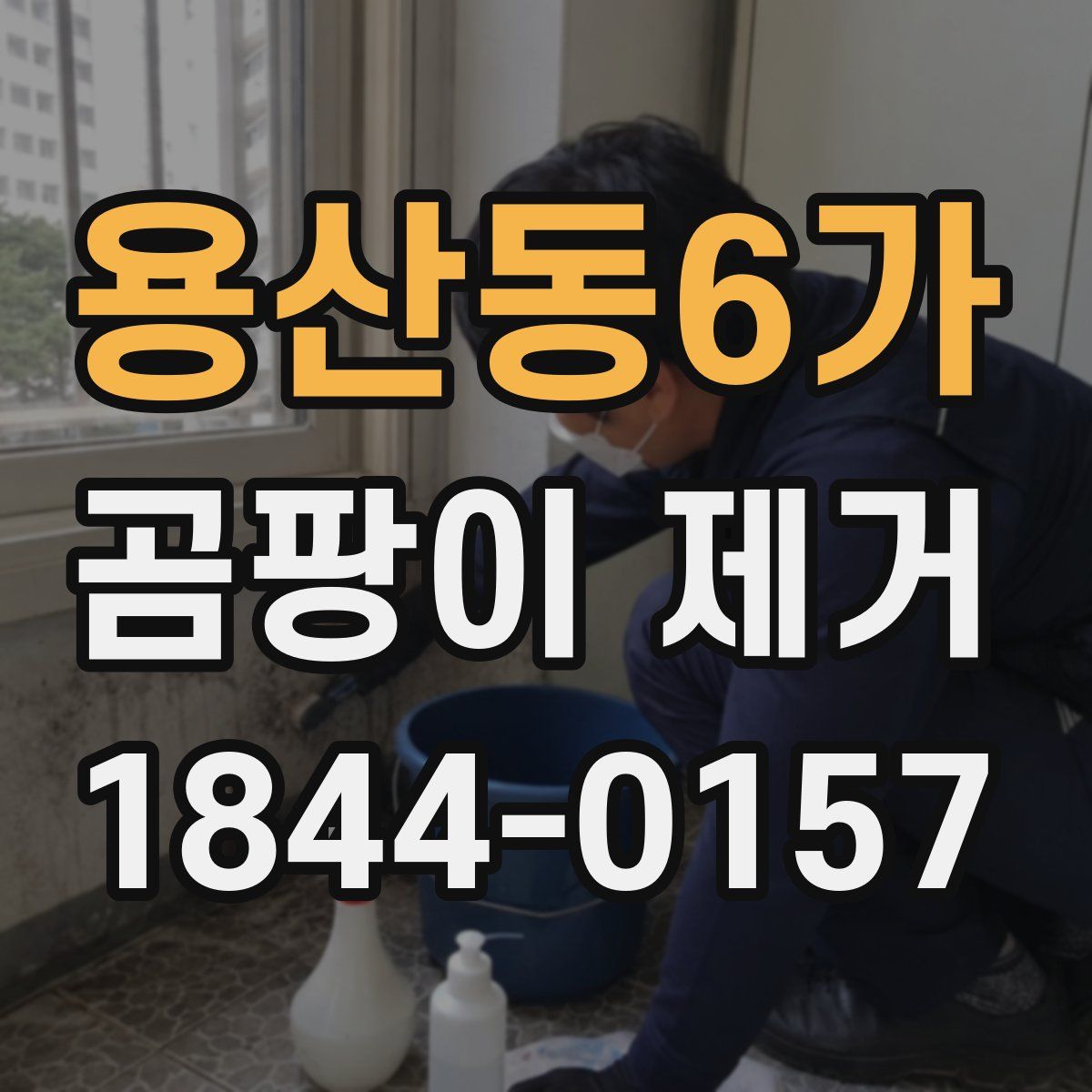 용산동6가 곰팡이 제거