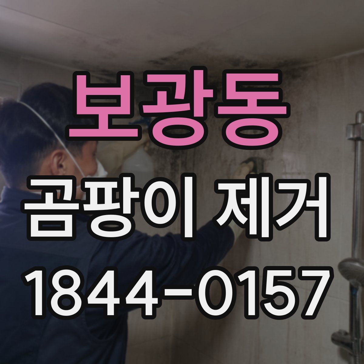 보광동 곰팡이 제거