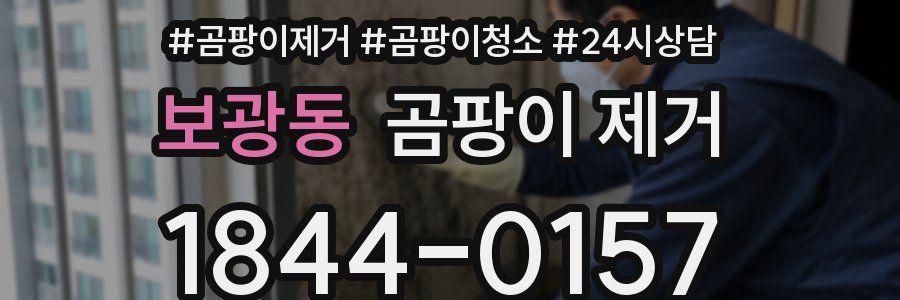 보광동 곰팡이 제거