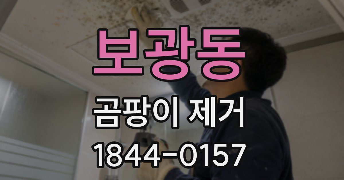 보광동 곰팡이 제거