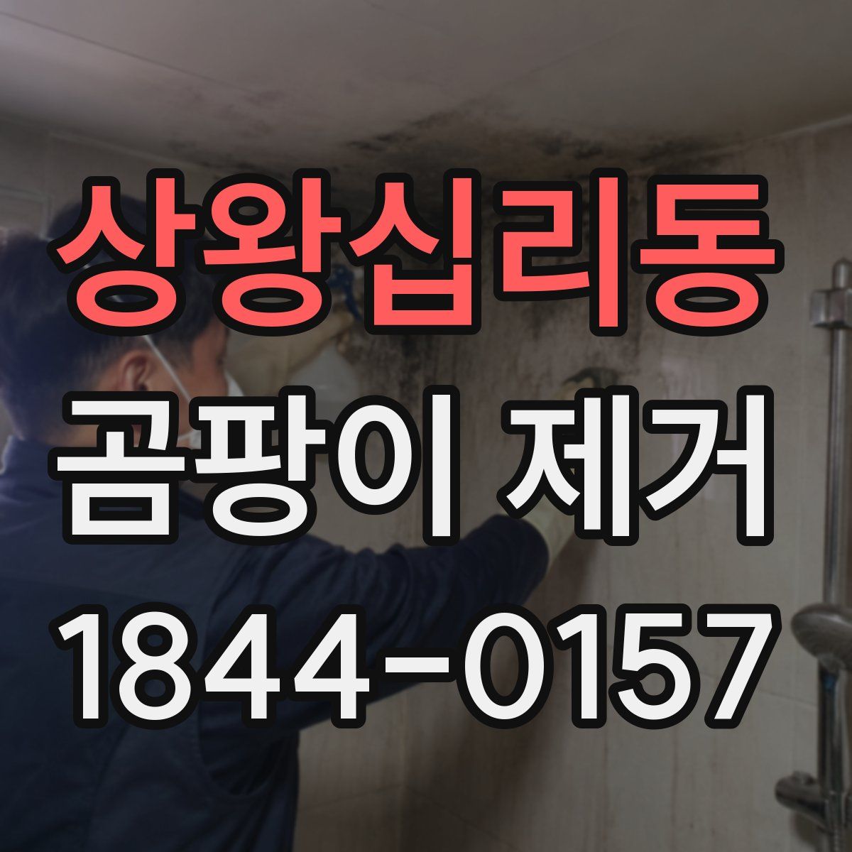 상왕십리동 곰팡이 제거