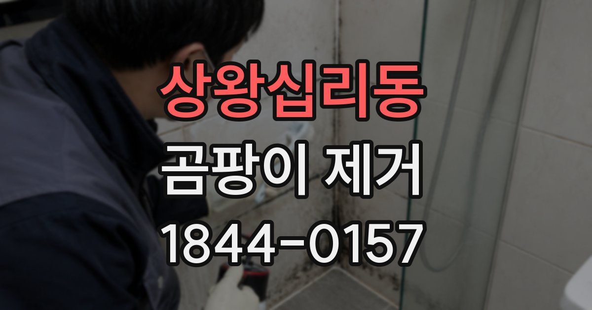 상왕십리동 곰팡이 제거