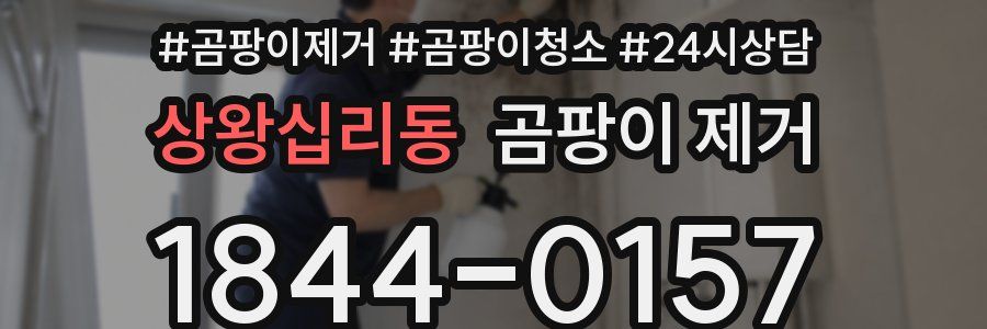 상왕십리동 곰팡이 제거