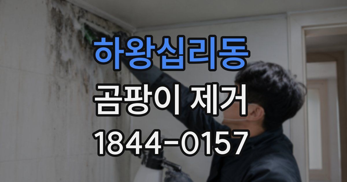 하왕십리동 곰팡이 제거
